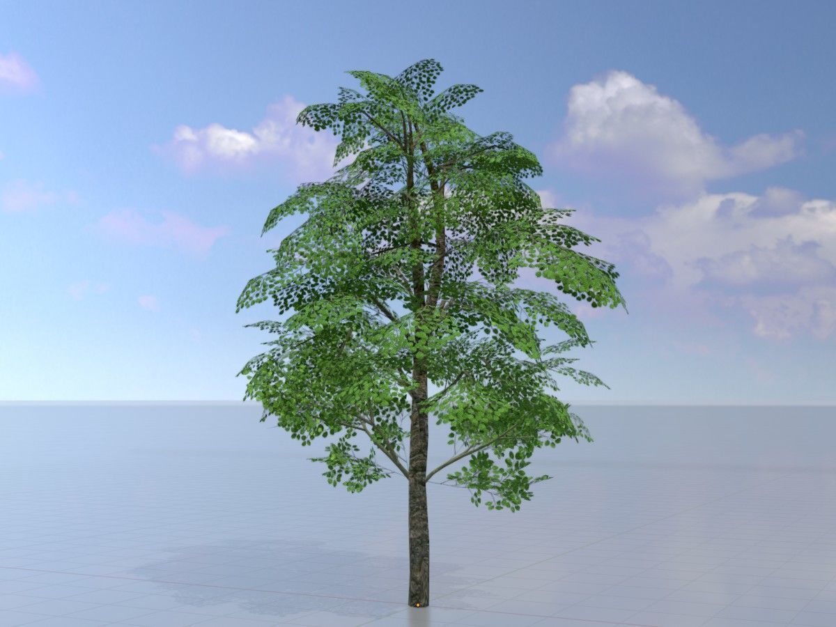Alnus glutinosa tree summer Package 3D Model Collection_35
