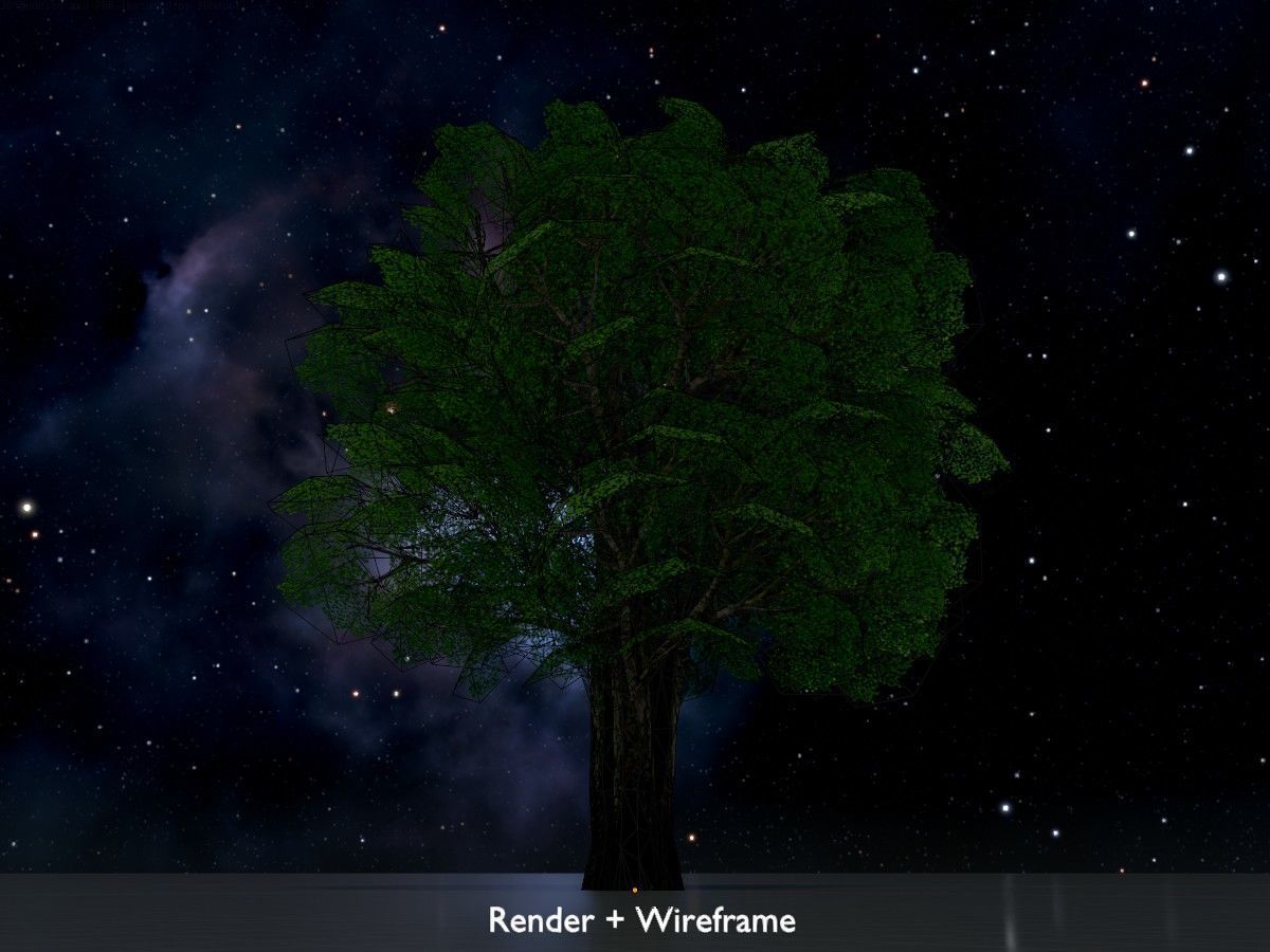 Alnus glutinosa tree summer Package 3D Model Collection_64