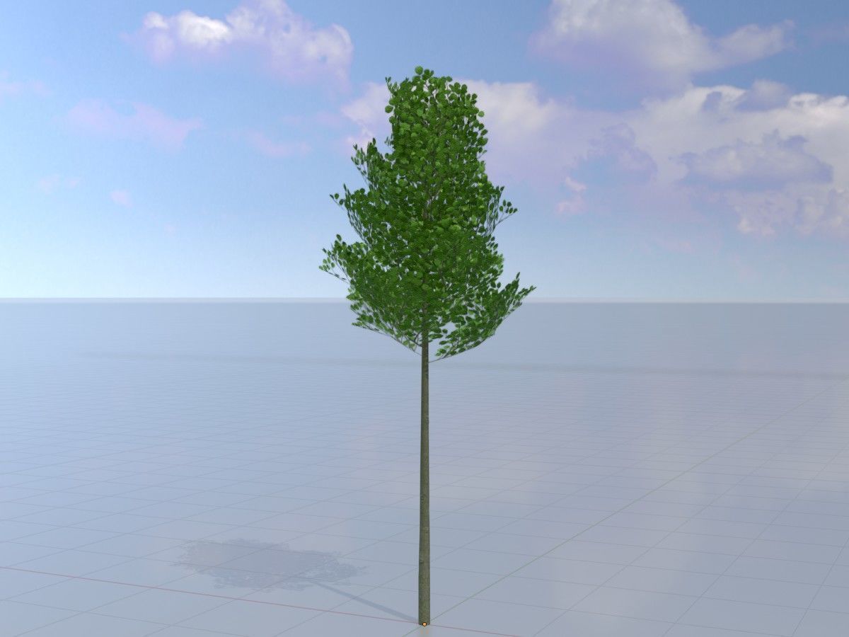 Alnus glutinosa tree summer Package 3D Model Collection_34