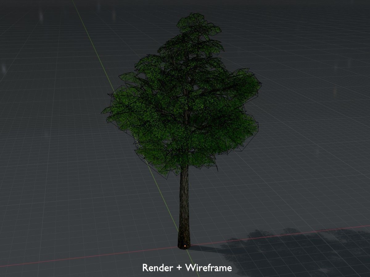 Alnus glutinosa tree summer Package 3D Model Collection_66