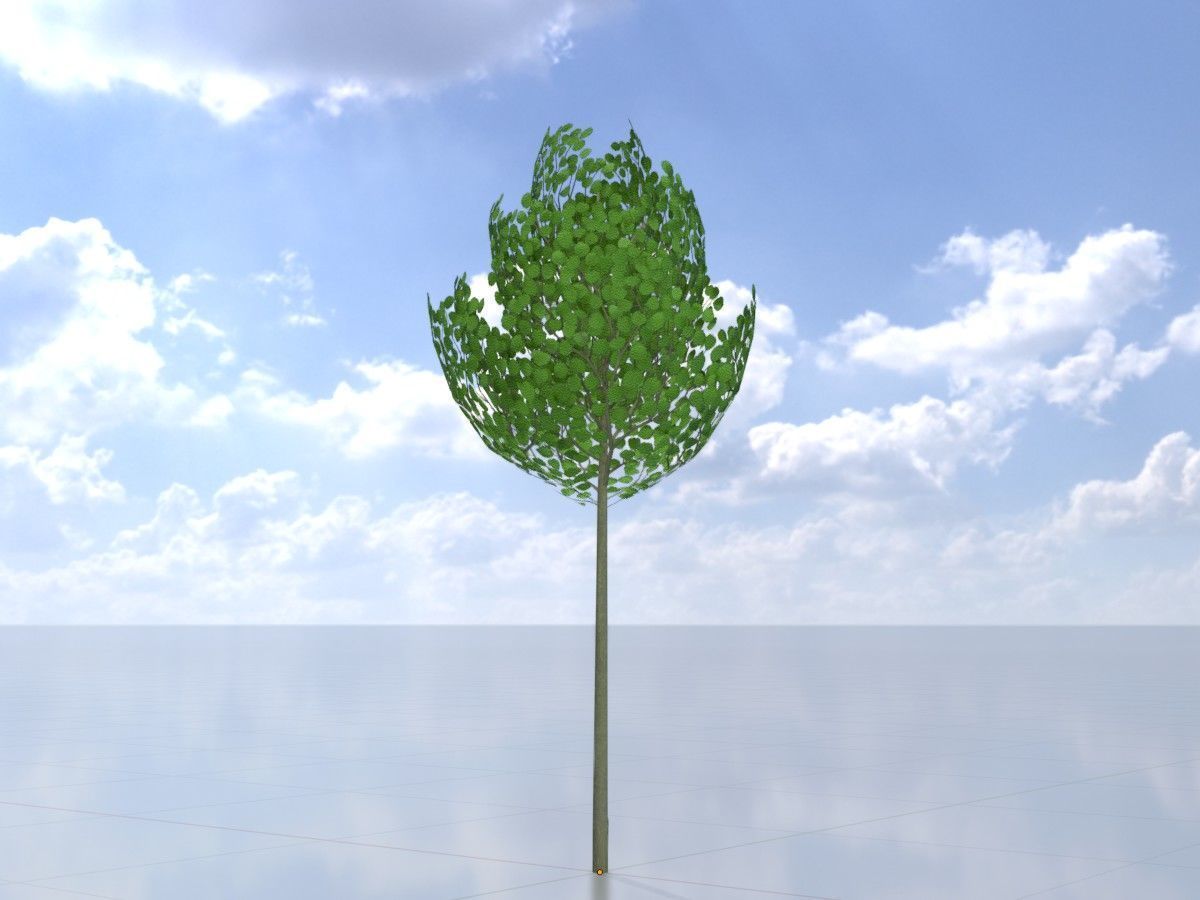 Alnus glutinosa tree summer Package 3D Model Collection_13