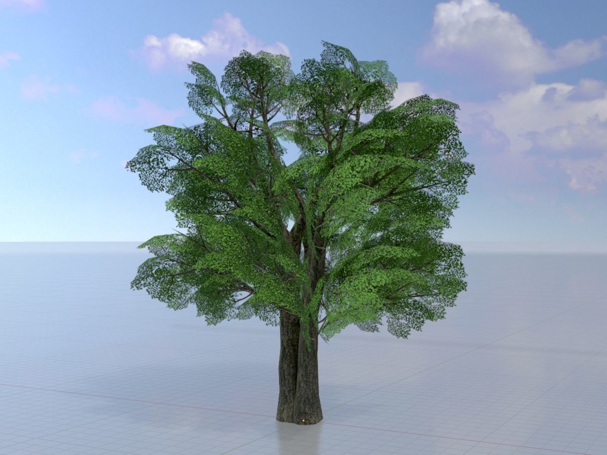 Alnus glutinosa tree summer Package 3D Model Collection_32