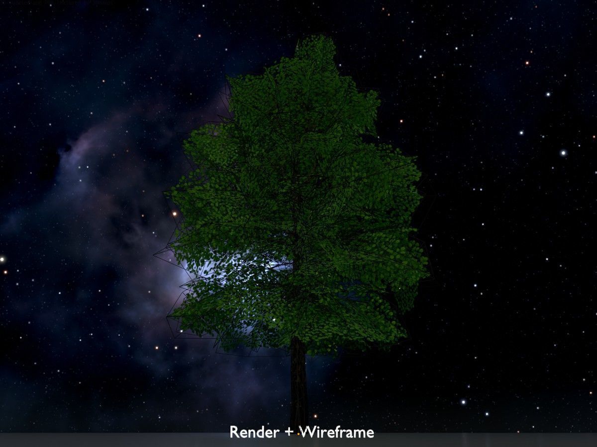 Alnus glutinosa tree summer Package 3D Model Collection_57