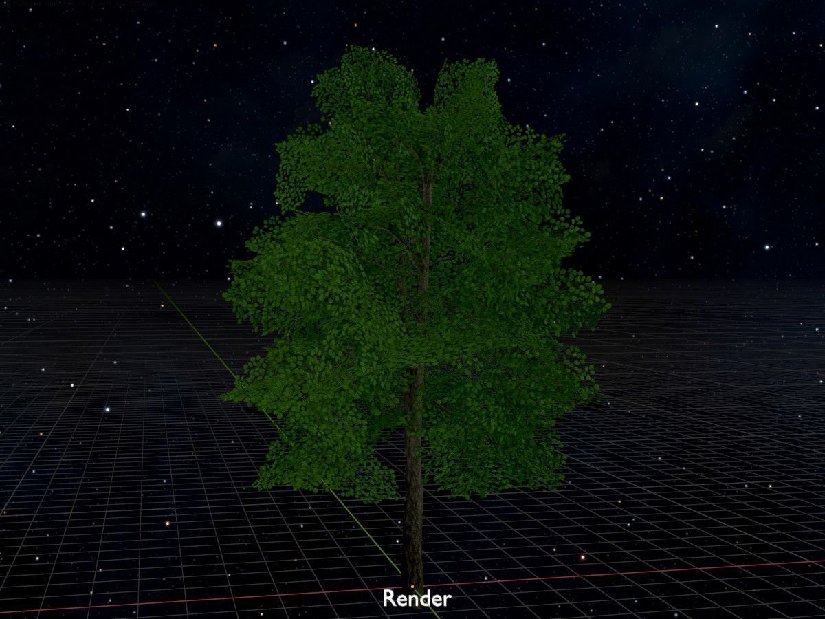 Alnus glutinosa tree summer Package 3D Model Collection_113