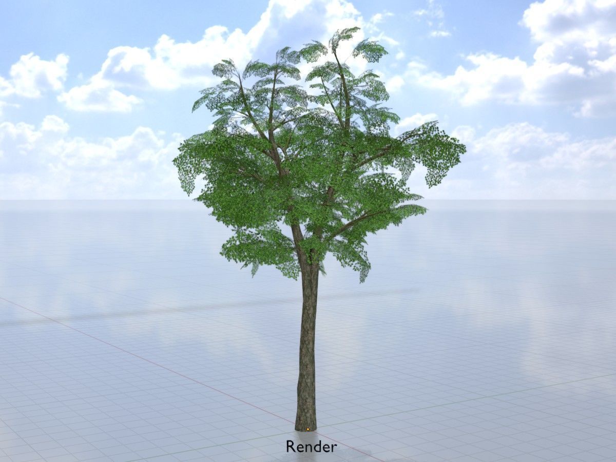 Alnus glutinosa tree summer Package 3D Model Collection_100