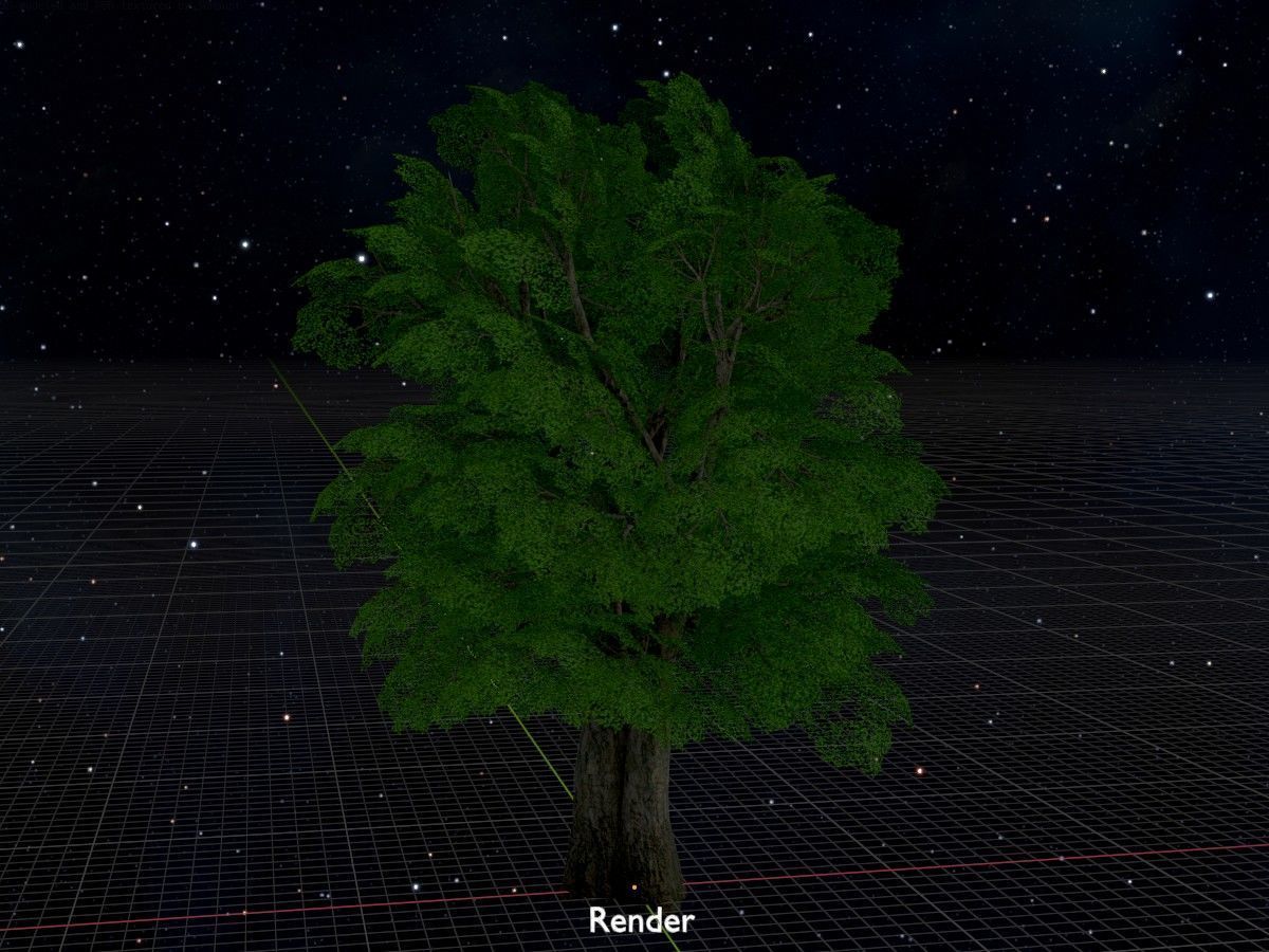 Alnus glutinosa tree summer Package 3D Model Collection_117