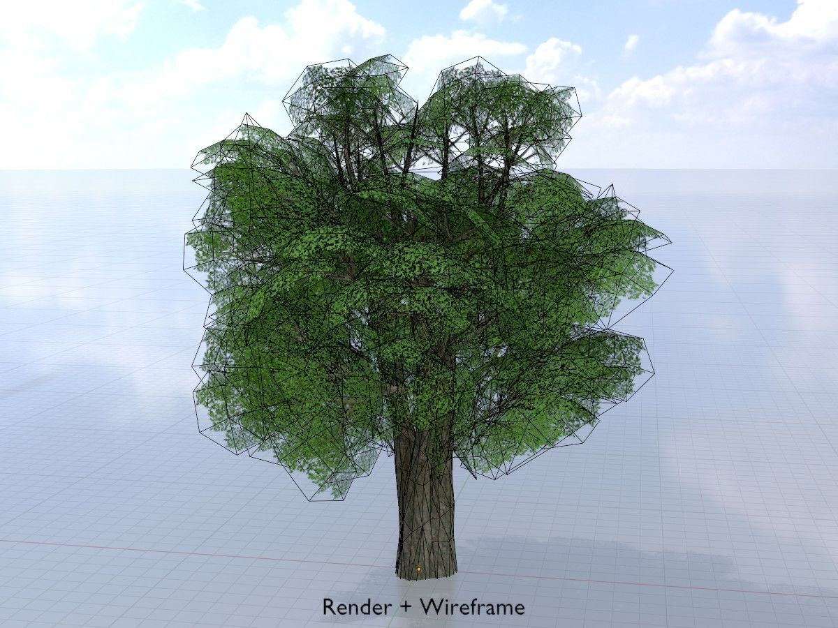 Alnus glutinosa tree summer Package 3D Model Collection_46