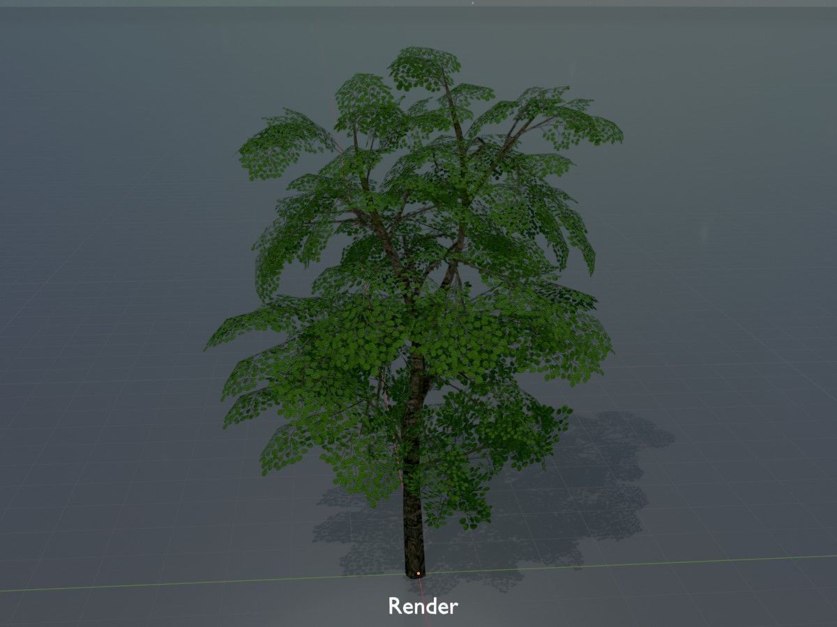 Alnus glutinosa tree summer Package 3D Model Collection_112