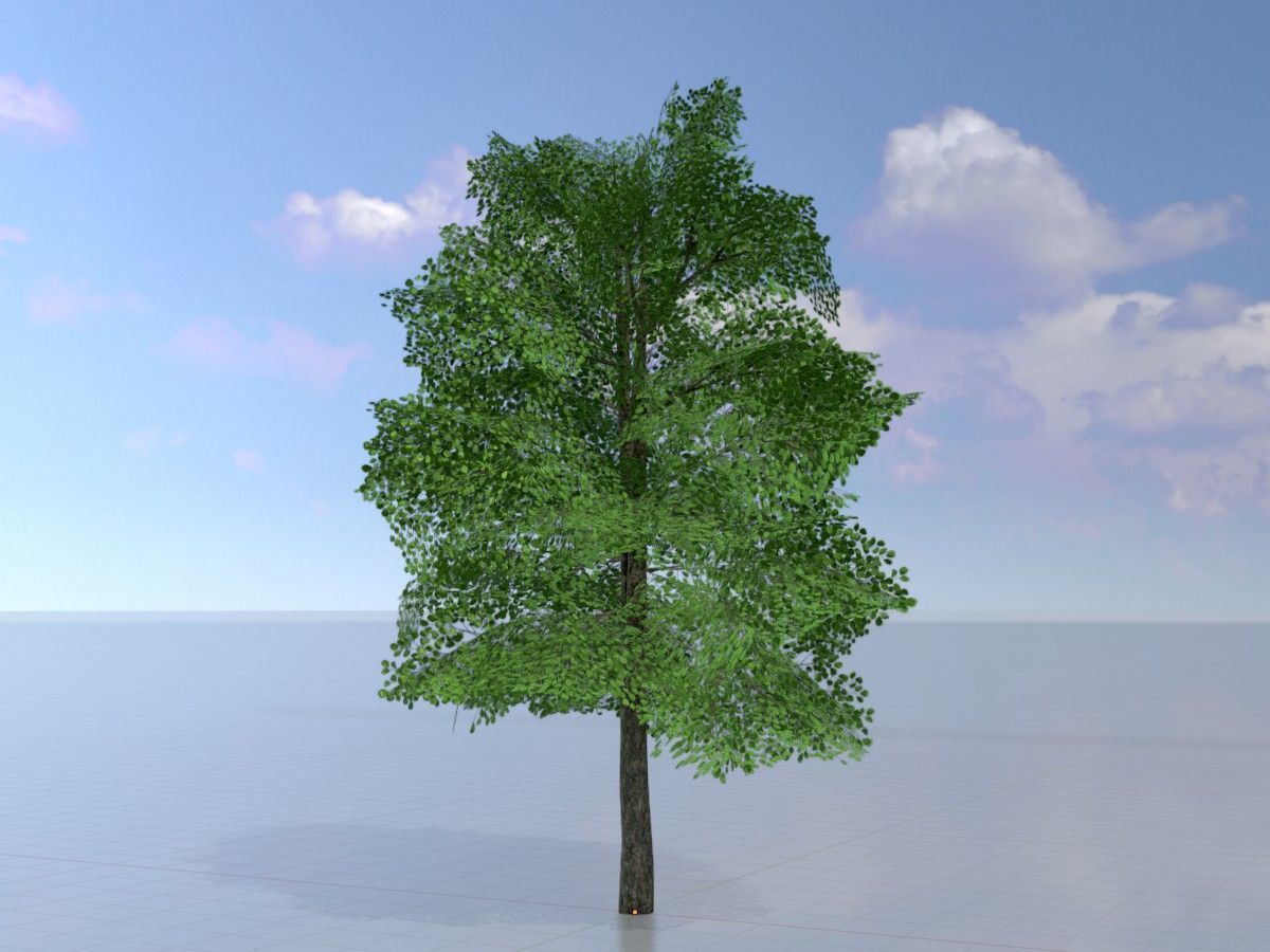 Alnus glutinosa tree summer Package 3D Model Collection_29