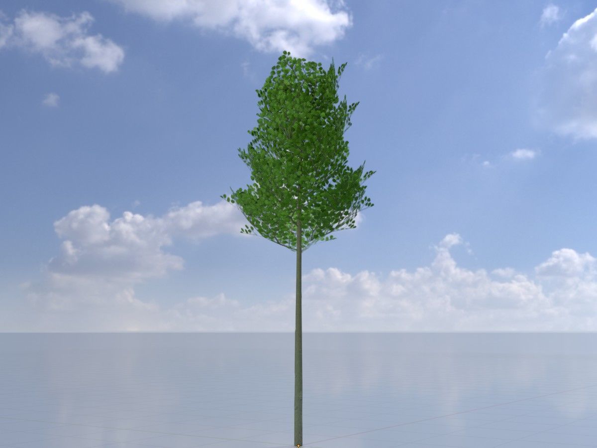 Alnus glutinosa tree summer Package 3D Model Collection_27