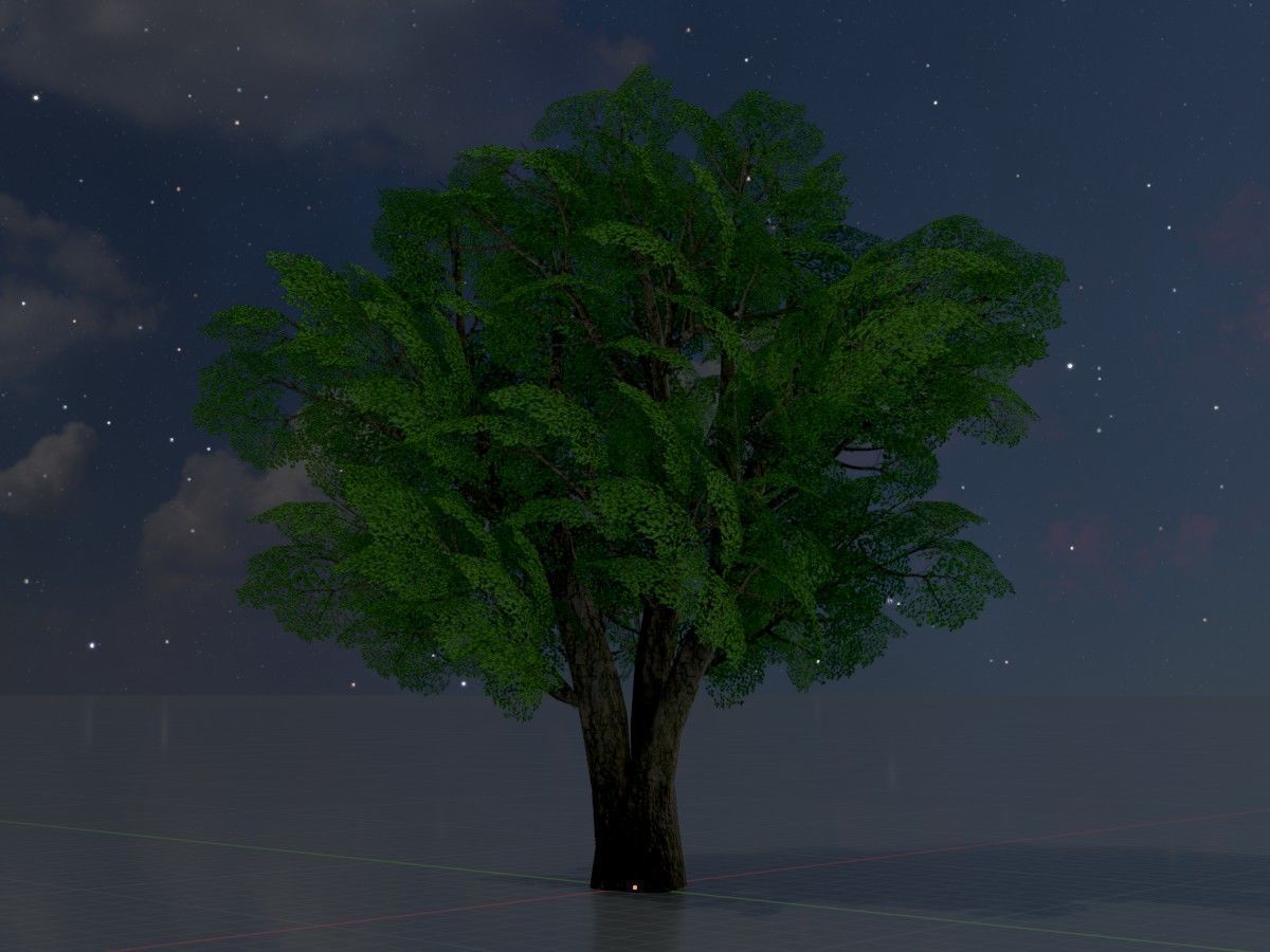 Alnus glutinosa tree summer Package 3D Model Collection_39