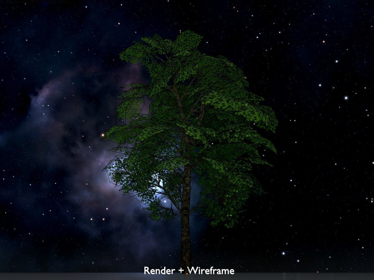 Alnus glutinosa tree summer Package 3D Model Collection_62