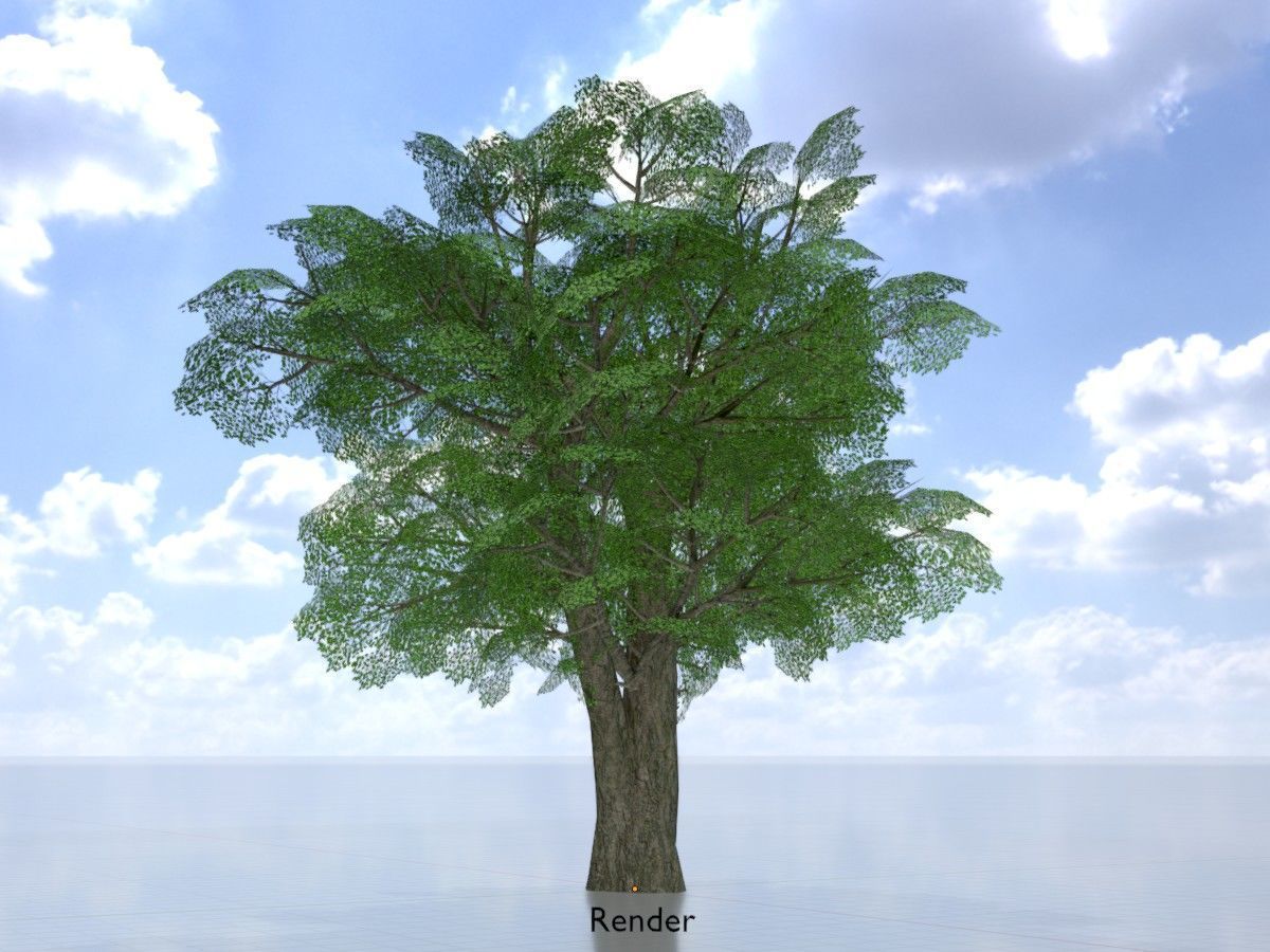 Alnus glutinosa tree summer Package 3D Model Collection_102