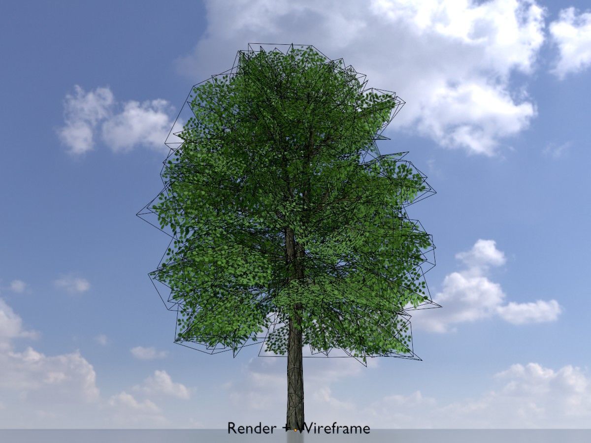 Alnus glutinosa tree summer Package 3D Model Collection_50