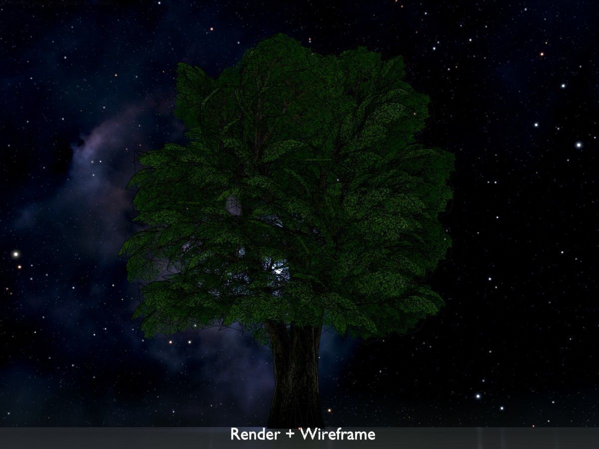 Alnus glutinosa tree summer Package 3D Model Collection_60