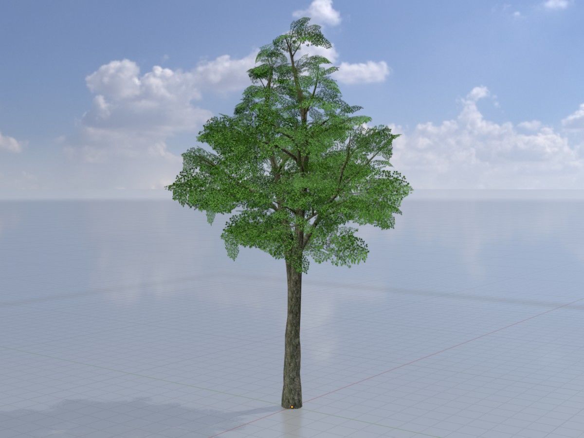 Alnus glutinosa tree summer Package 3D Model Collection_23