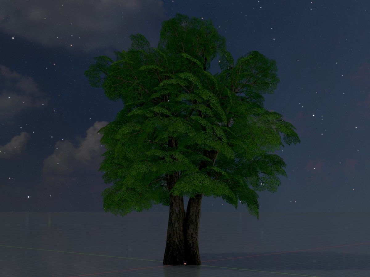 Alnus glutinosa tree summer Package 3D Model Collection_40