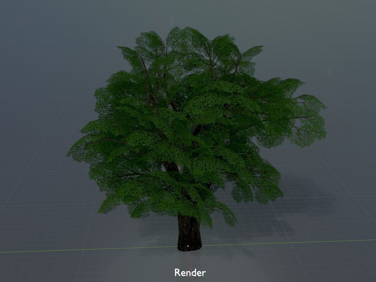 Alnus glutinosa tree summer Package 3D Model Collection_109