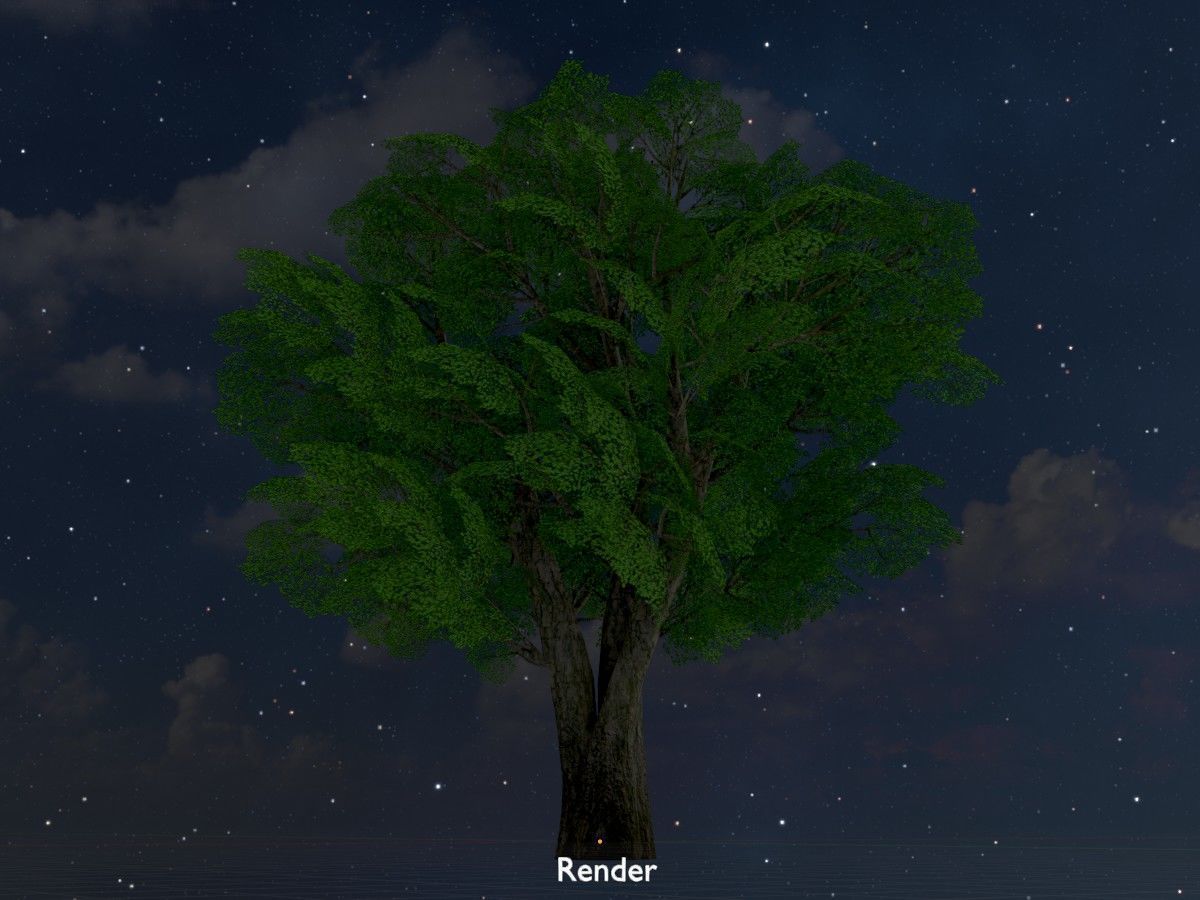 Alnus glutinosa tree summer Package 3D Model Collection_123