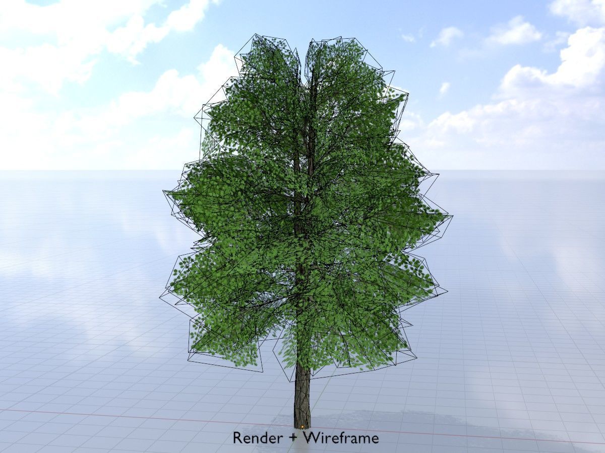 Alnus glutinosa tree summer Package 3D Model Collection_43