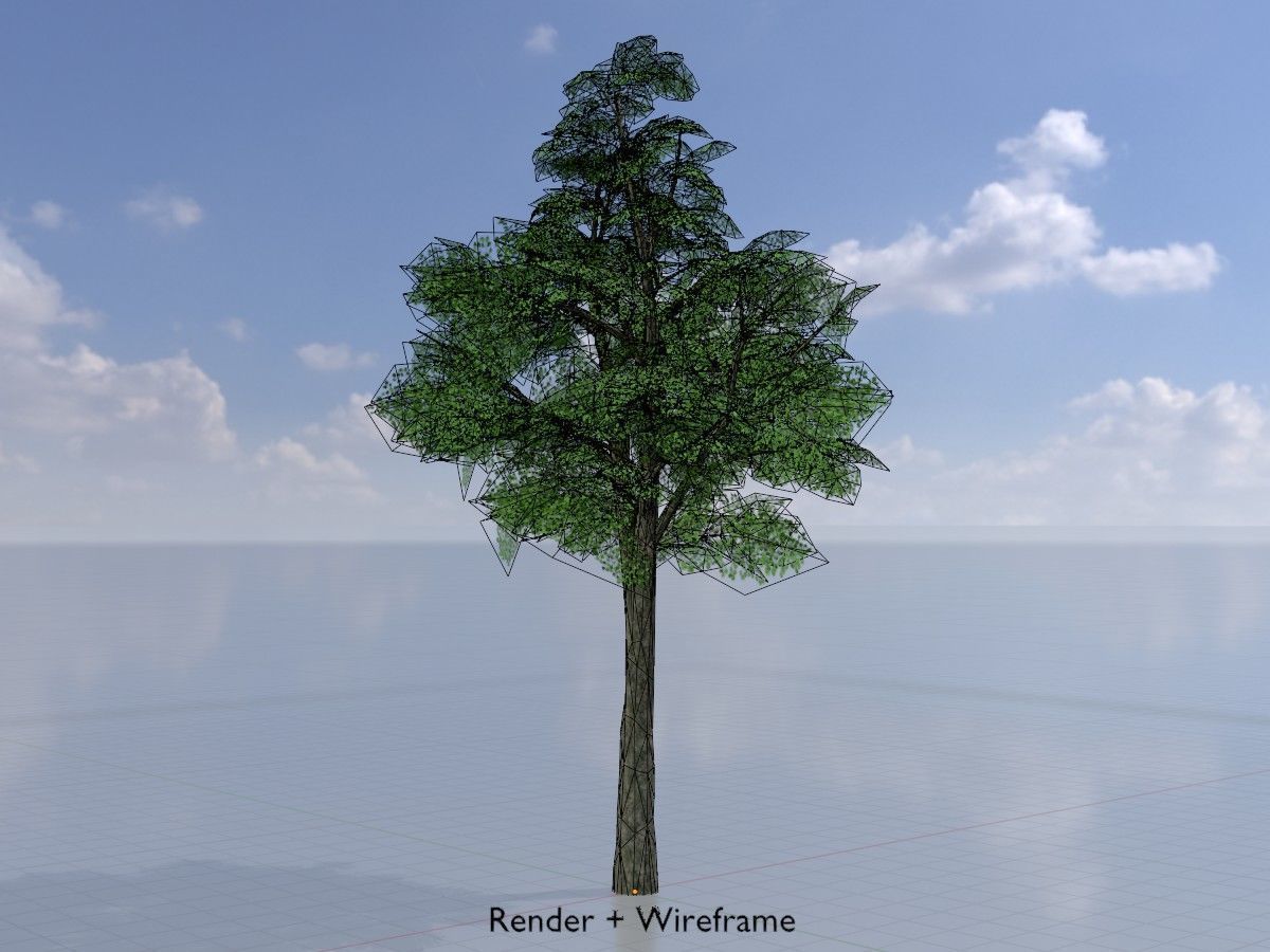 Alnus glutinosa tree summer Package 3D Model Collection_51