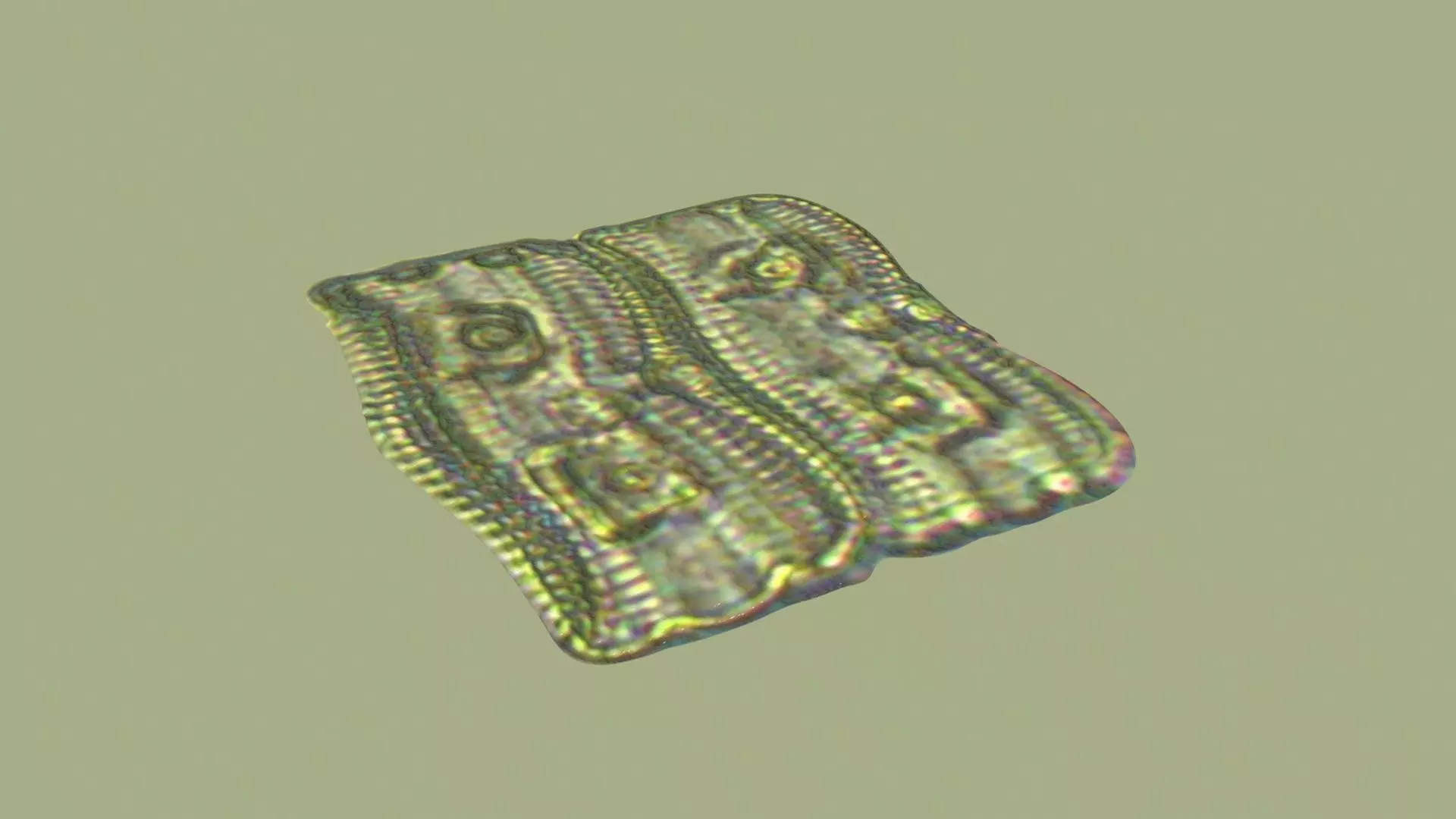 Square Diatom 3D model