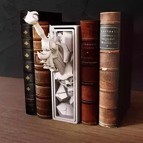 Book Nook  Ends STL File  Organizer Box for Bookworms  Gift