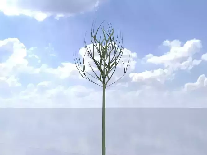 Alnus glutinosa tree winter 2000mm Low-poly 3D model