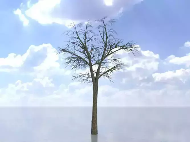 Alnus glutinosa tree winter 16000mm Low-poly 3D model