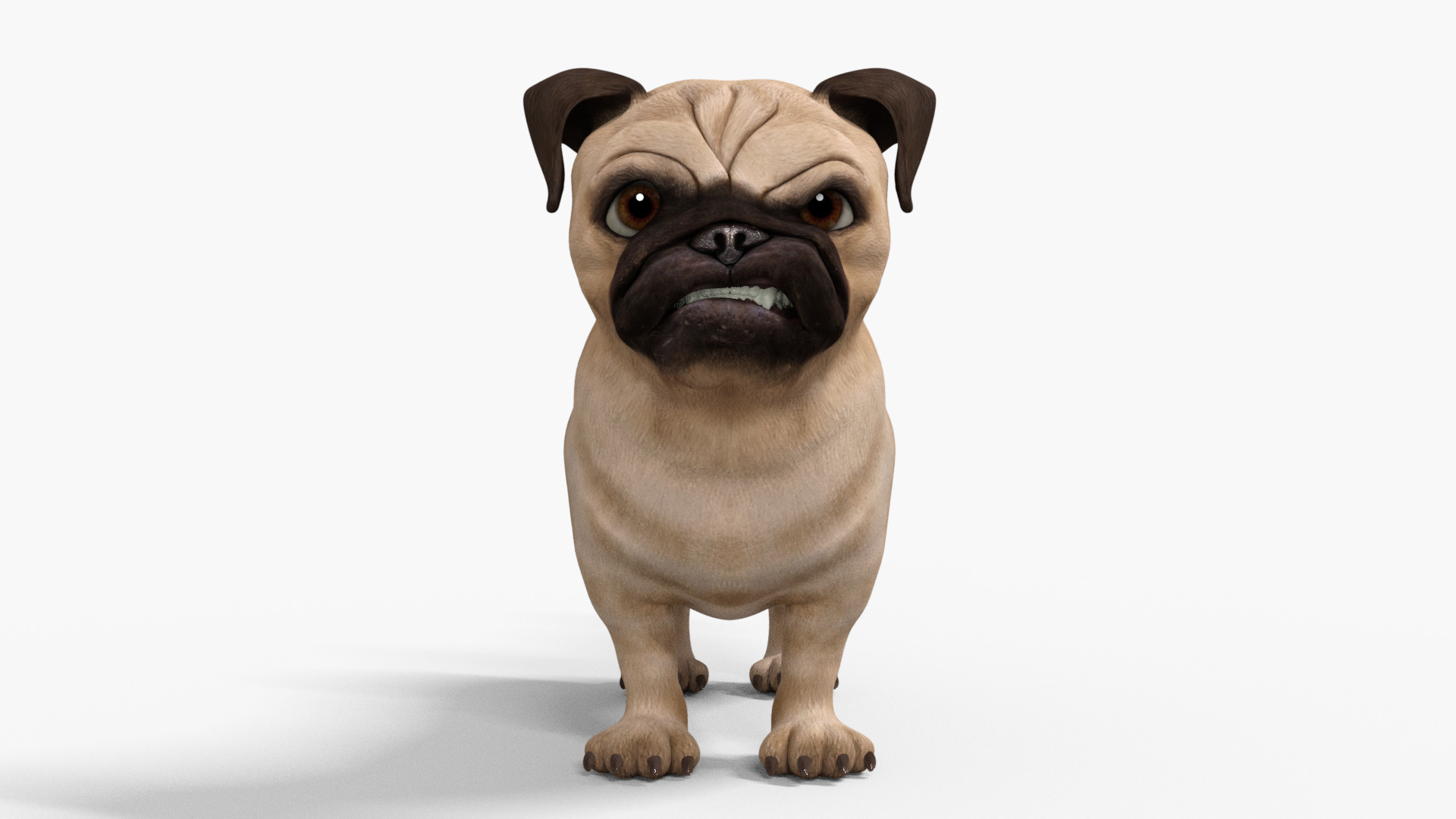 Pug Dog Toon Rigged Low-poly 3D model_9