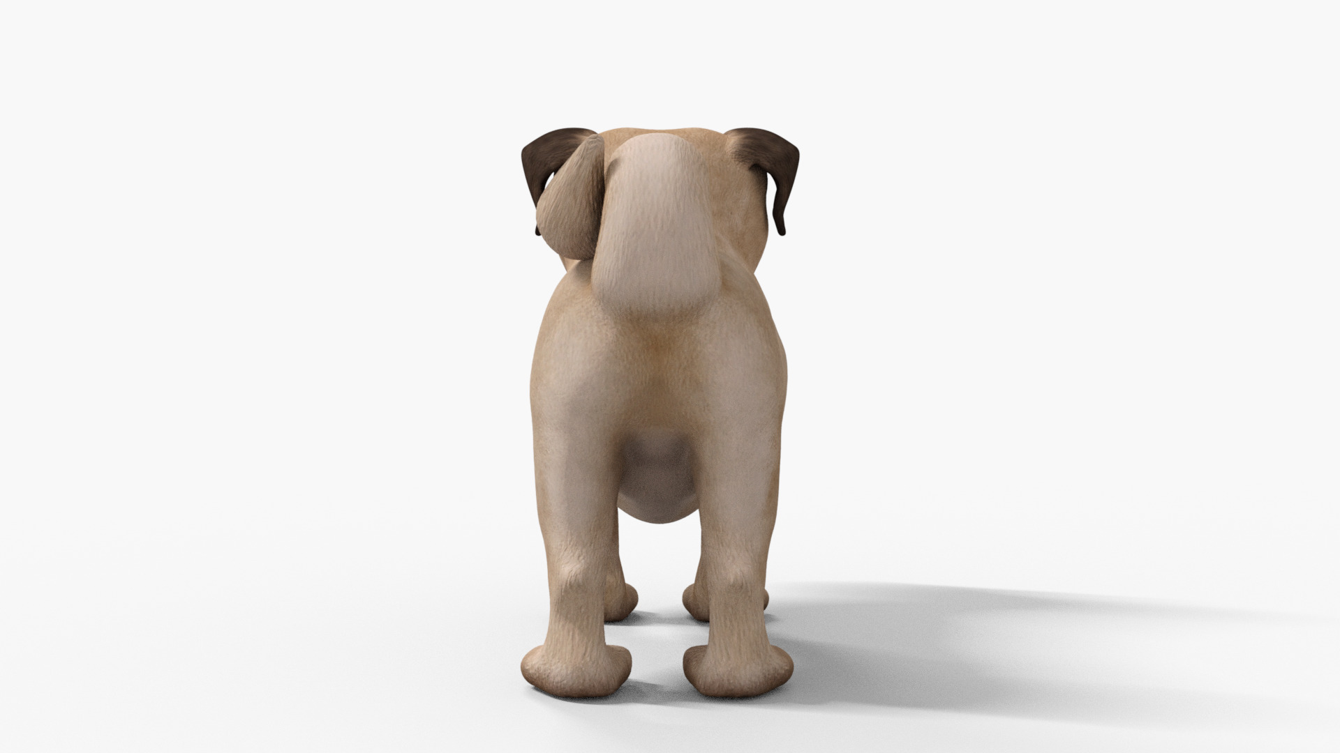 Pug Dog Toon Rigged Low-poly 3D model_6