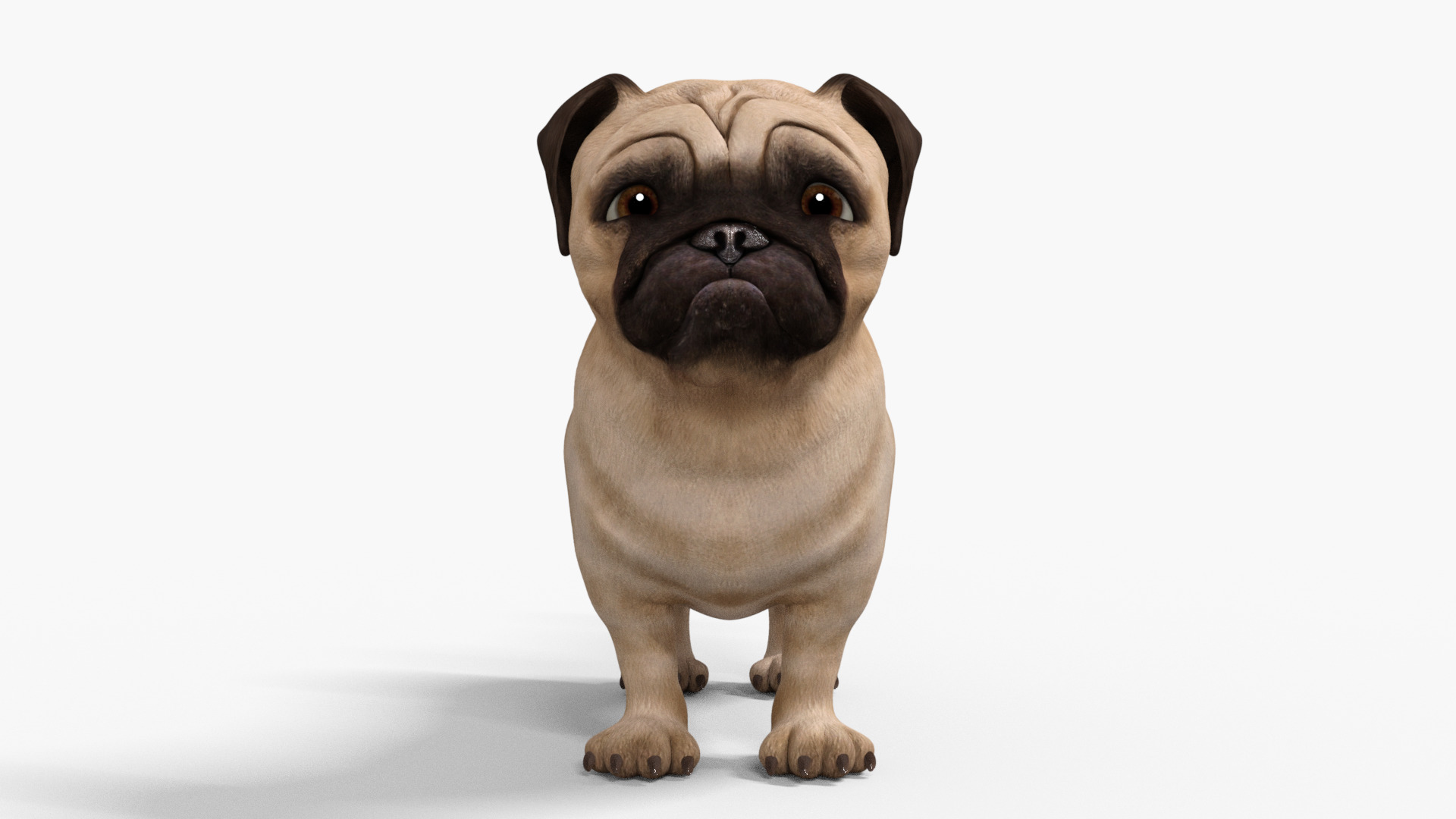Pug Dog Toon Rigged Low-poly 3D model_10
