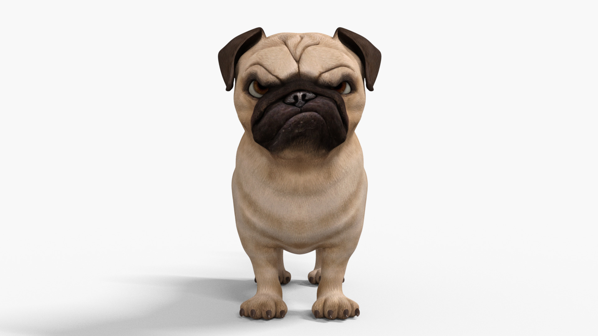 Pug Dog Toon Rigged Low-poly 3D model_8