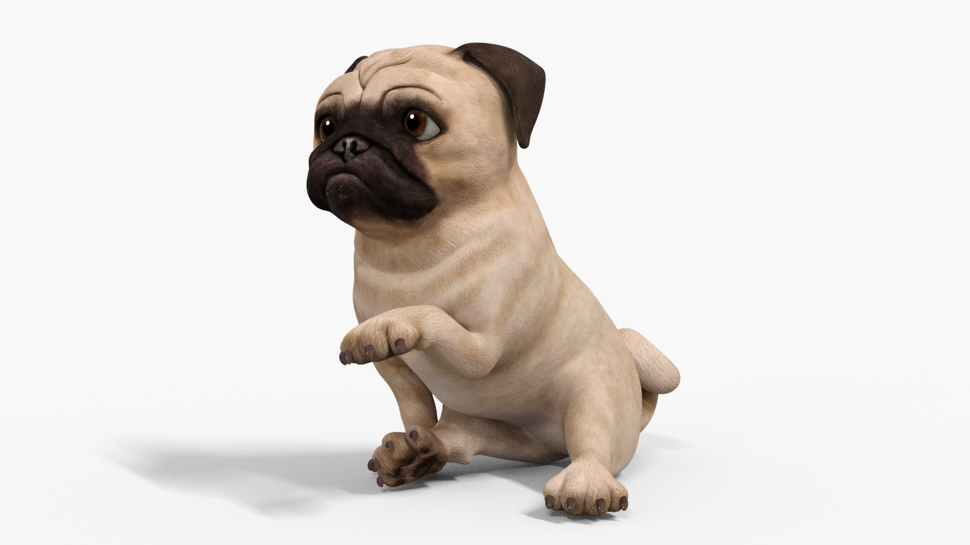 Pug Dog Toon Rigged Low-poly 3D model_11