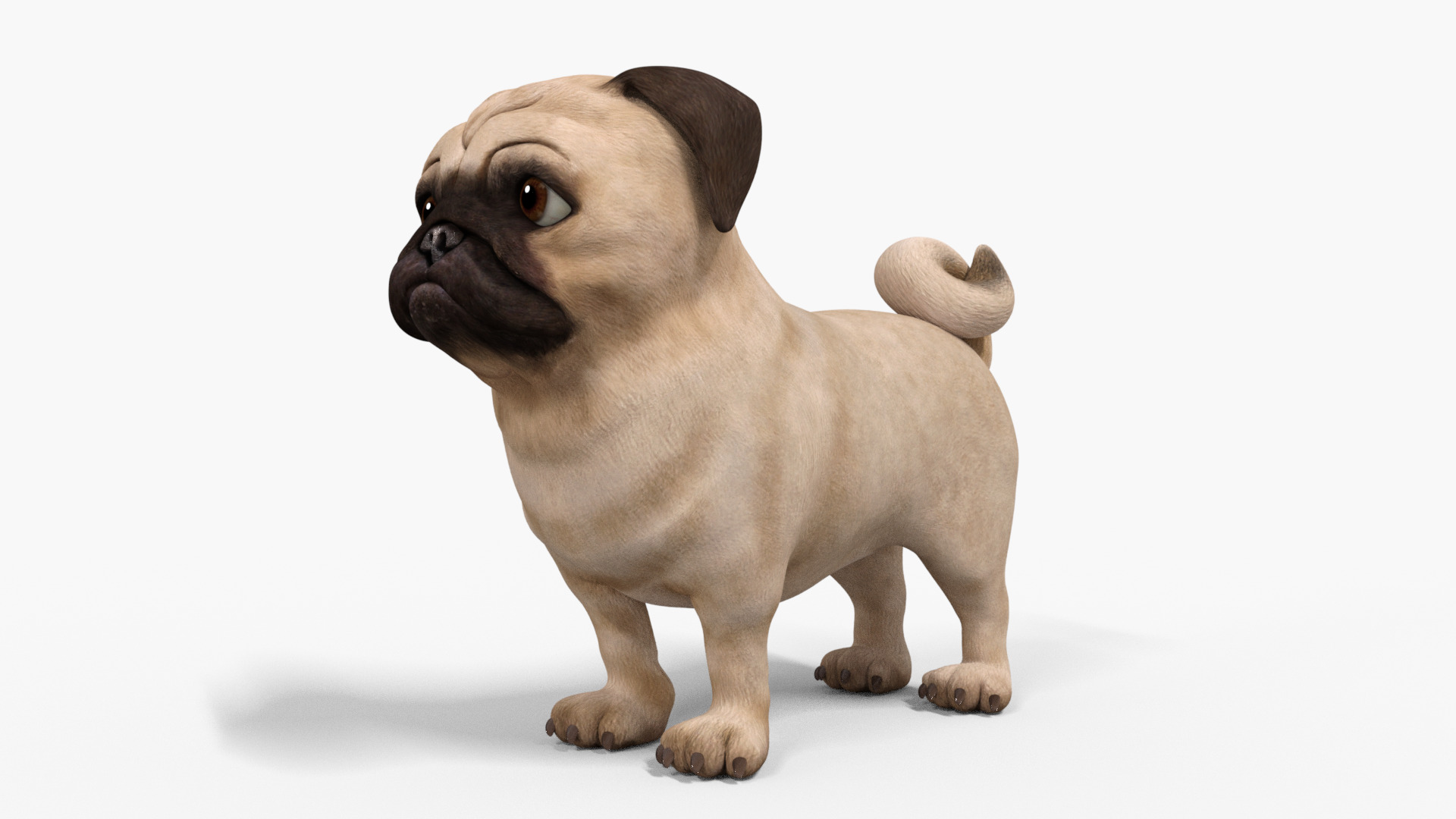 Pug Dog Toon Rigged Low-poly 3D model_3