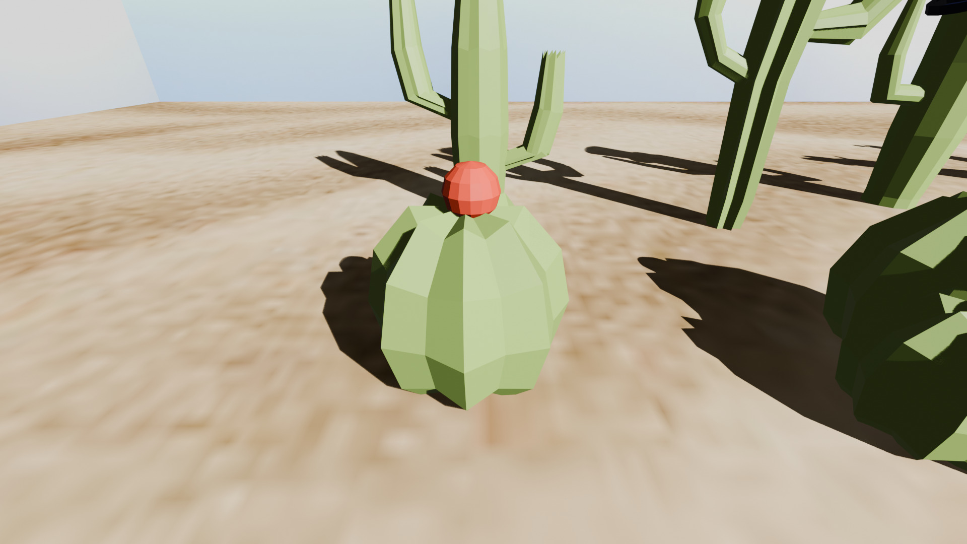 Cactus Low Poly Pack Low-poly 3D model_19