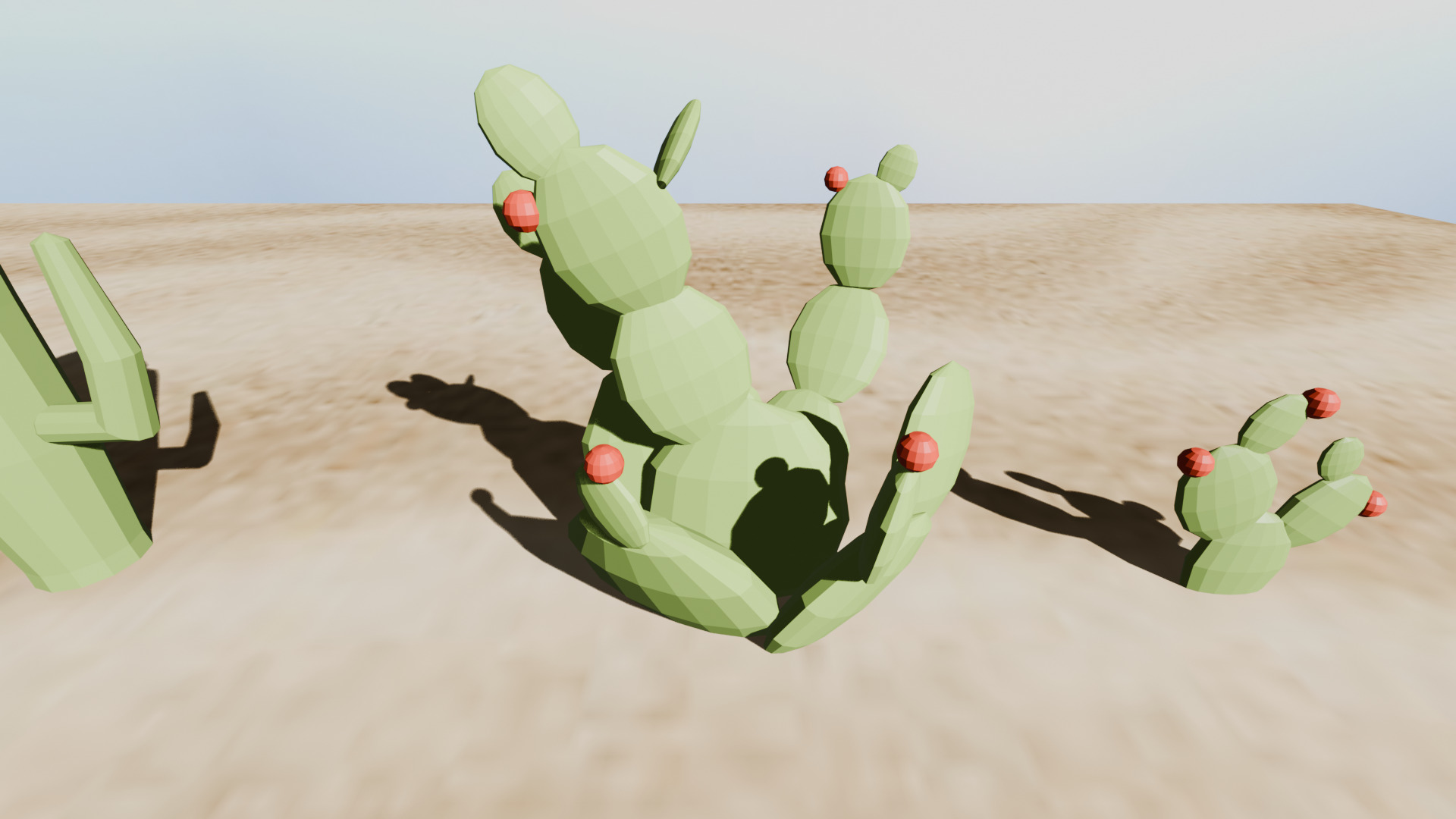 Cactus Low Poly Pack Low-poly 3D model_4