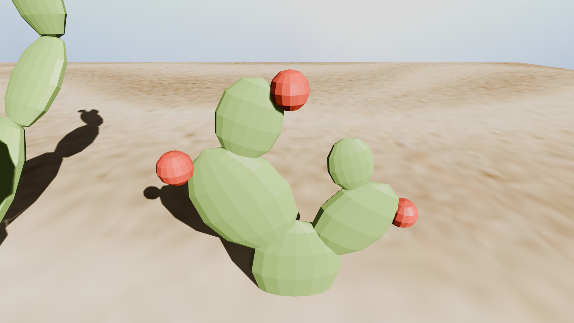 Cactus Low Poly Pack Low-poly 3D model_7