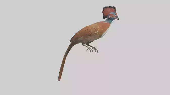 Daimyos Pheasant perched model