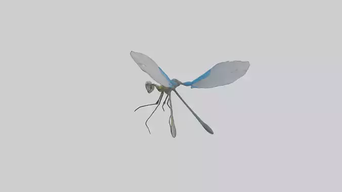 Damselfly landing model