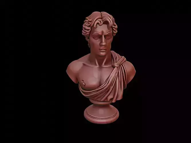 Apollo Bust