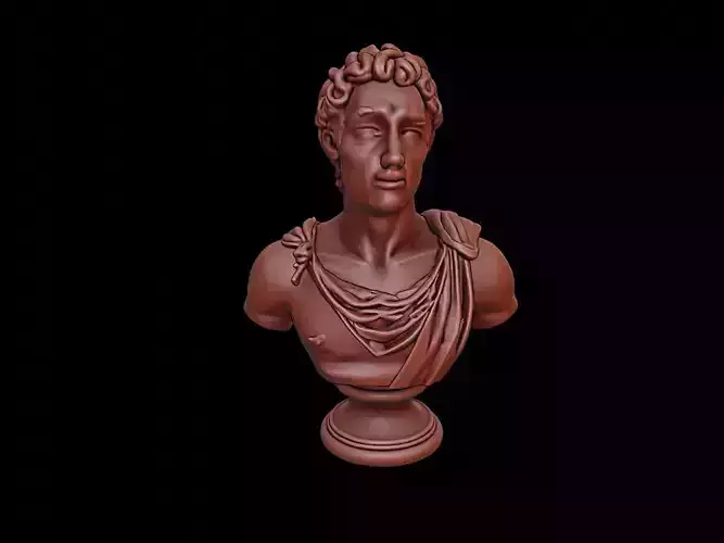 Apollo Bust