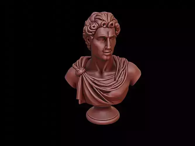 Apollo Bust