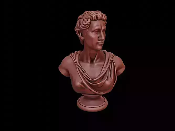 Apollo Bust