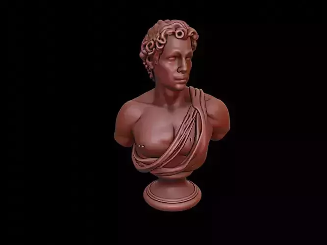 Apollo Bust