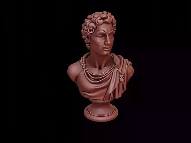 Apollo Bust