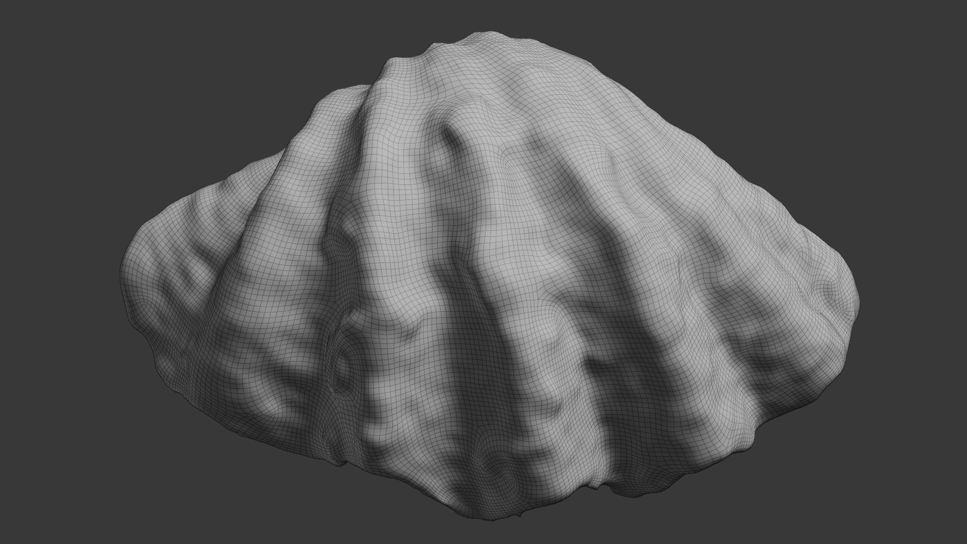 Giant fluted clam shell 3D model | CGTrader