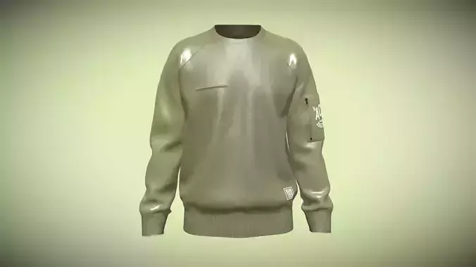 Men Raglan Sweatshirts With Zip In Low Poly
