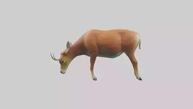 Deer grazing in forest model