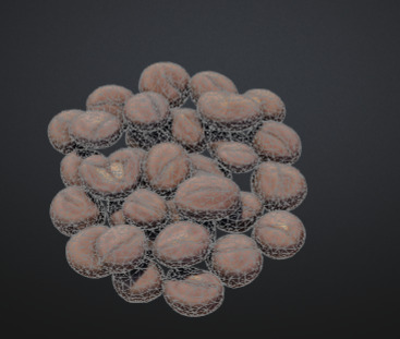 BEANS OF COFFE 3D model_4